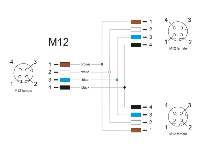 65ae78e589e313.04496331