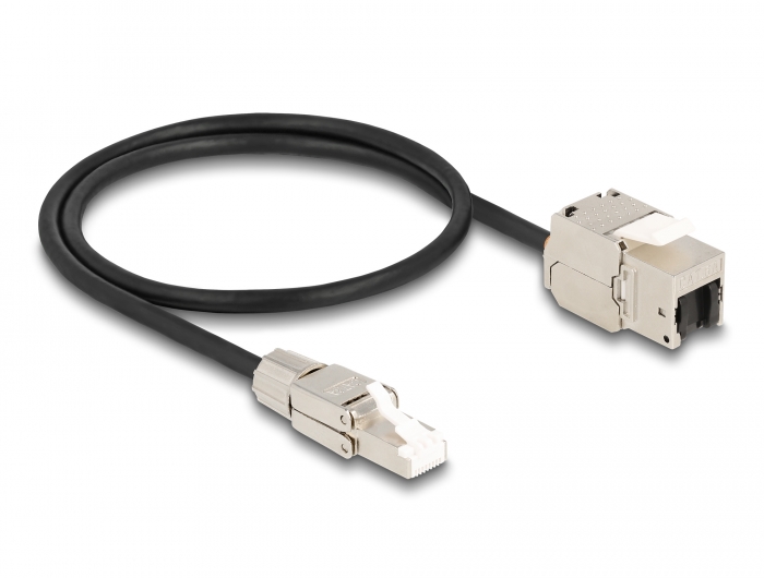 Delock Kabel RJ45 Stecker feldkonfektionierbar zu Keystone Modul RJ45 Buchse Cat.6A 50 cm #2 
