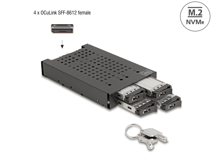 Delock 3.5″ Wechselrahmen für 4 x M.2 NVMe SSD mit OcuLink SFF-8612 Anschluss #1 