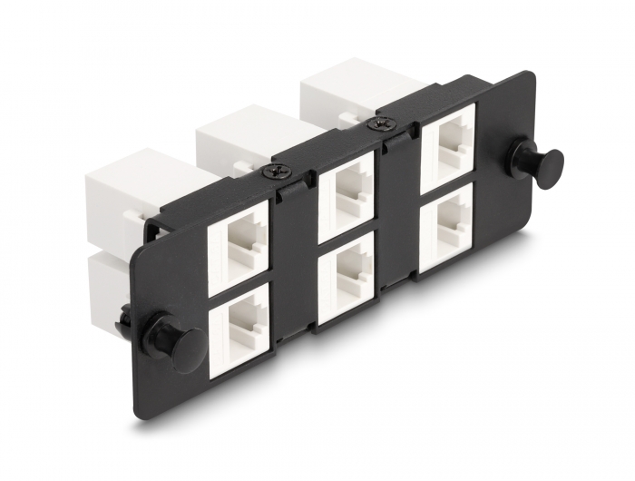 Delock Keystone Adapter Panel 6 Port schwarz #1 