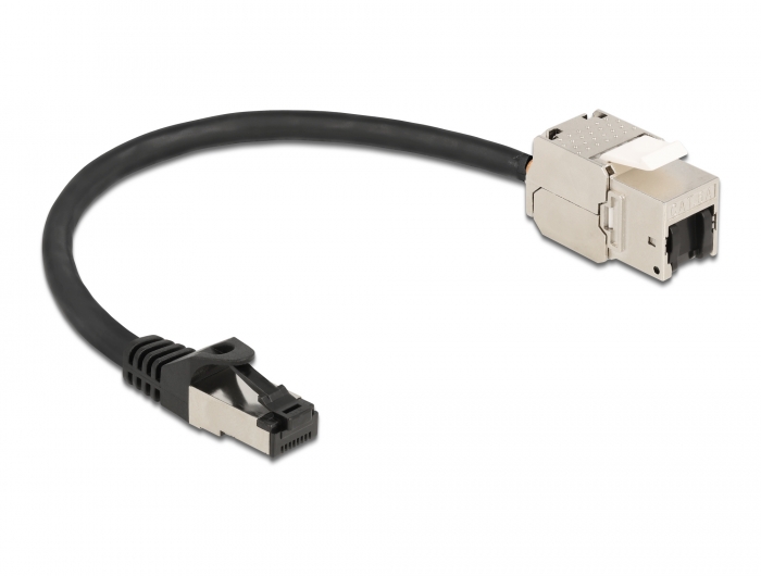 Delock Kabel RJ45 Stecker zu Keystone Modul RJ45 Buchse Cat.6A 25 cm schwarz #2 