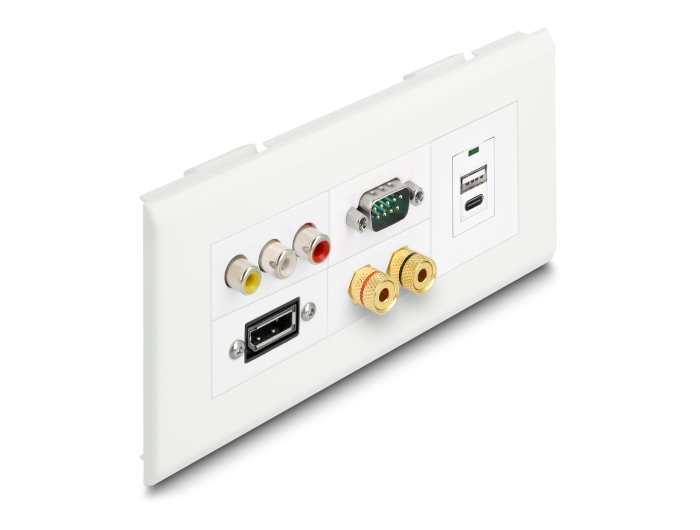 Delock Easy 45 Modulträger für Geräteeinbaukanal 175 x 80 mm #6 