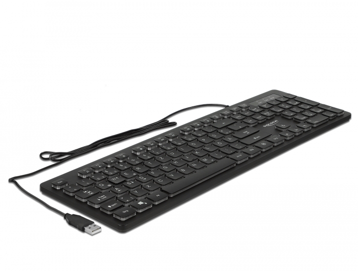 Delock USB Tastatur kabelgebunden 1,5 m schwarz mit RGB Beleuchtung #2 