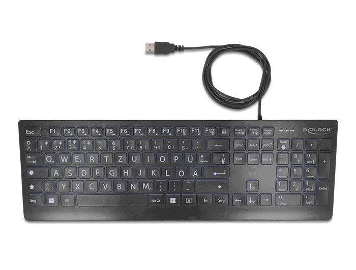 Delock USB Tastatur kabelgebunden 1,5 m schwarz mit XXL Buchstaben und Beleuchtung #3 