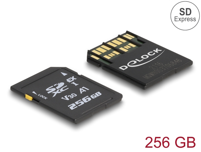 Delock SD Express Speicherkarte 256 GB #1 