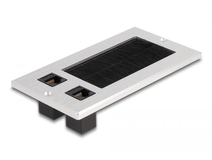 Delock Kabeldurchführung mit Bürste und 2 x RJ45 Keystone Modul Cat.6 Aluminium #1 