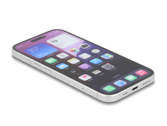 Delock Schutzfolie für iPhone 16 mit Sichtschutz aus gehärtetem Glas Anti Spy 4 Wege Blickschutz mit Installationshilfe #2 