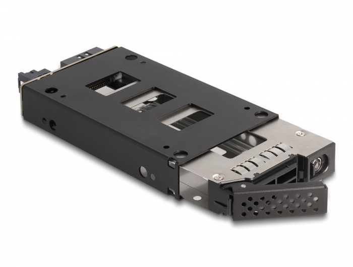 Delock Slim Bay Wechselrahmen für 1 x 2.5″ U.2 NVMe SSD #4 
