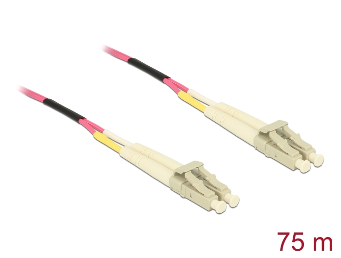 686e2d29394cf7.19688991