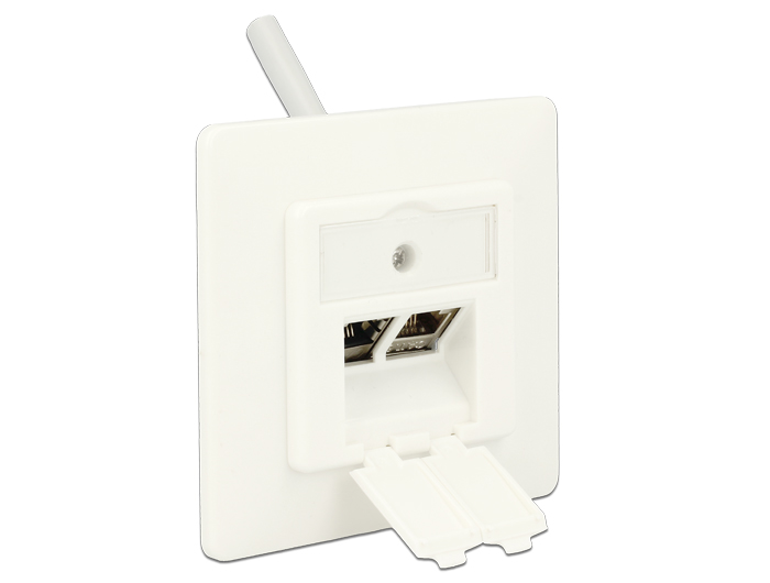 Delock Keystone Anschlussdose 2 Port kompakt #3 