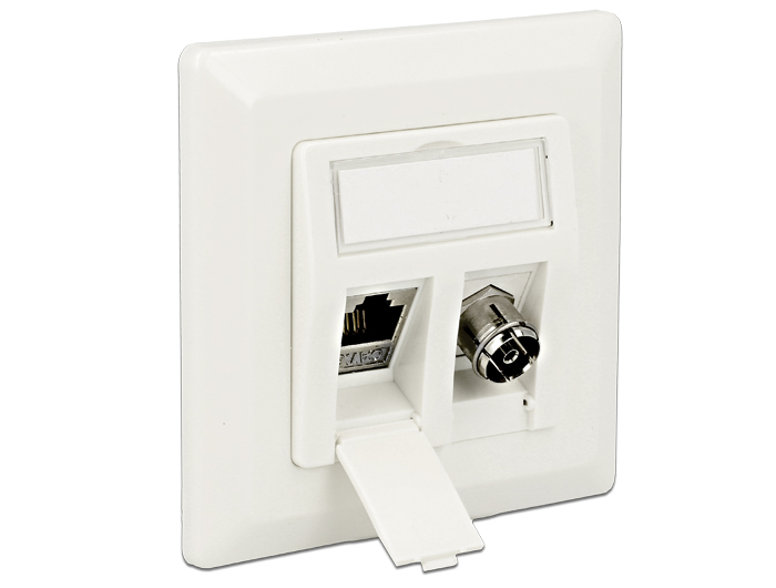 Delock Keystone Anschlussdose 2 Port #11 
