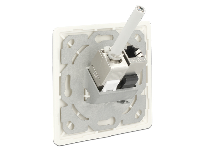 Delock Keystone Anschlussdose 2 Port kompakt #4 