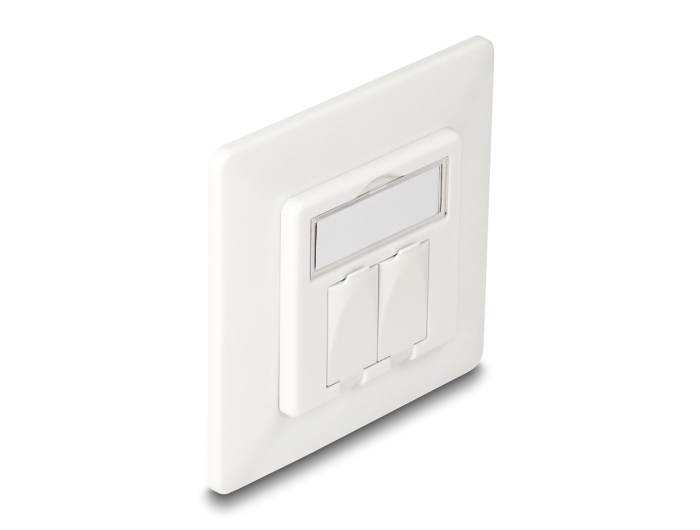 Delock Keystone Anschlussdose 2 Port kompakt #9 