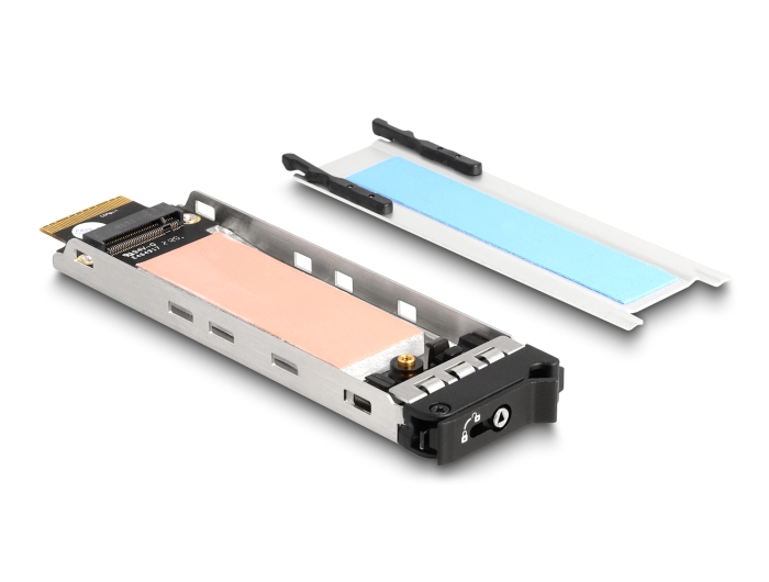 Delock Wechselrahmen PCI Express Karte für 1 x M.2 NVMe SSD - Low Profile Formfaktor #9 