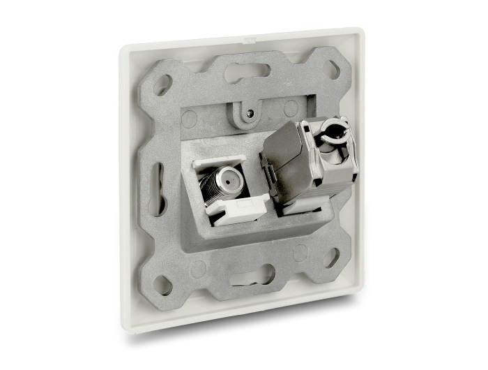 Delock Keystone Anschlussdose 2 Port #8 