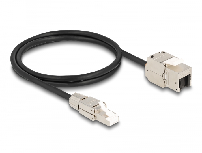 Delock Kabel RJ45 Stecker feldkonfektionierbar zu Keystone Modul RJ45 Buchse Cat.6A 1 m #2 