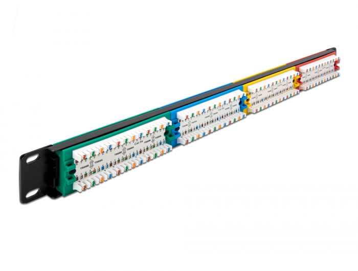 Delock 19″ Patchpanel 24 Port Cat.5e 1 HE farbig #2 