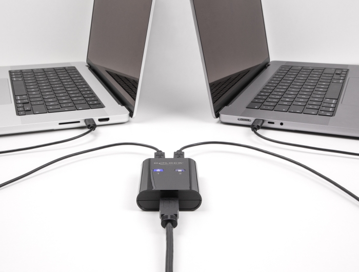 Delock USB 2.0 Switch für 2 PC an 1 Gerät #3 