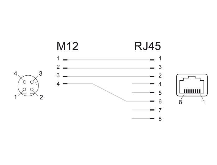 Delock Netzwerkadapter M12 4 Pin D-kodiert Buchse zu RJ45 Buchse #3 