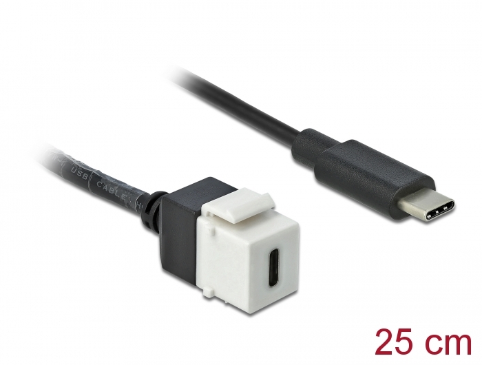 Delock Keystone Modul USB 3.0 C Buchse > USB 3.0 C Stecker mit Kabel #1 