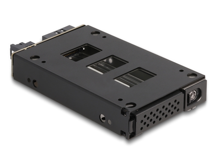 Delock Slim Bay Wechselrahmen für 1 x 2.5″ U.2 NVMe SSD #6 