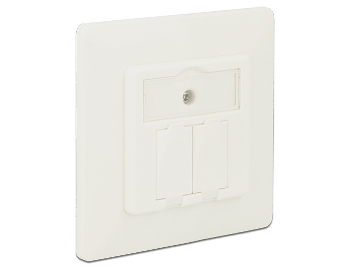 Delock Keystone Anschlussdose 2 Port kompakt #1 