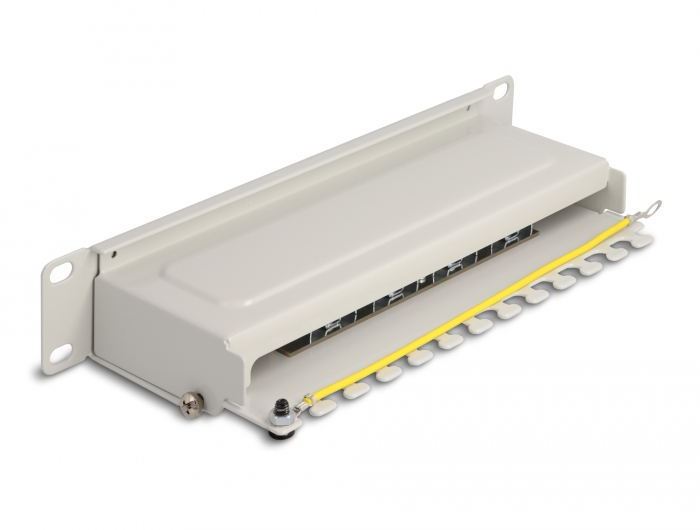 Delock 10″ Patchpanel 8 Port Cat.6A 1 HE grau #2 