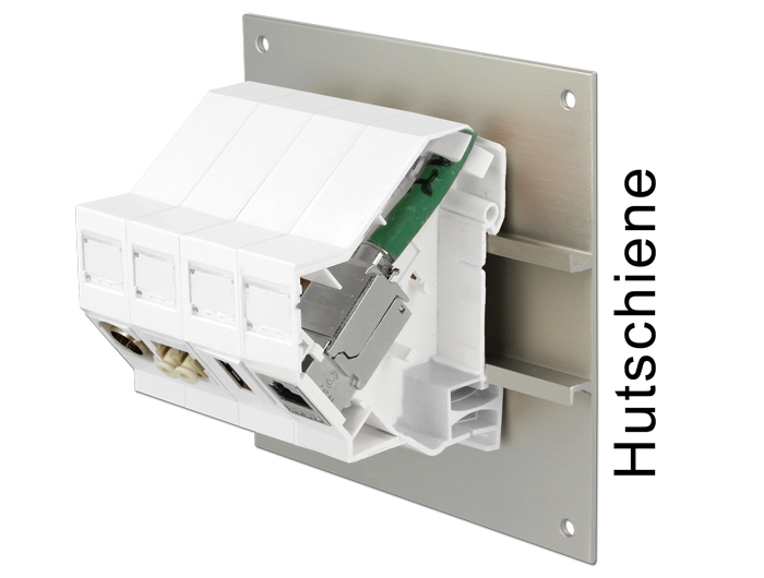 Delock Keystone Halterung für Hutschienen 180° #2 