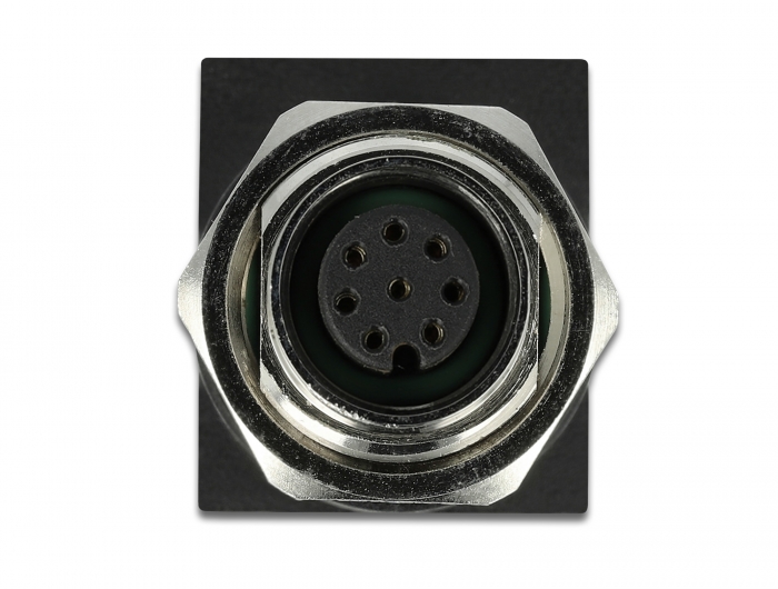 Delock Netzwerkadapter M12 8 Pin A-kodiert Buchse zu RJ45 Buchse #2 