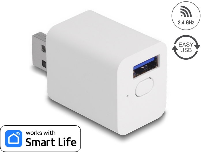 Delock WLAN EASY-USB Schalter Smart Life #1 