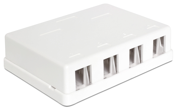 Delock Keystone Leergehäuse 4 Port #3 