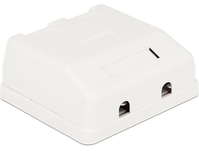 Delock Keystone Leergehäuse 2 Port mit Staubschutz #2 