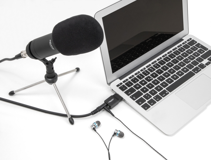 Delock Externe USB Soundkarte mit USB-A Stecker auf 2 x 3,5 mm Klinkenbuchse Plug & Play Audio Adapter schwarz #3 