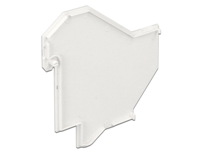 Delock Abdeckung für Keystone Hutschienen Halterung #2 