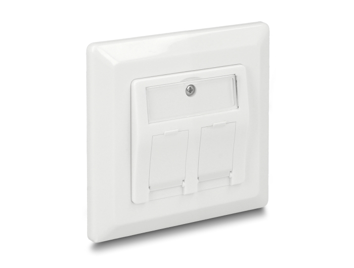 Delock Keystone Anschlussdose 2 Port #5 