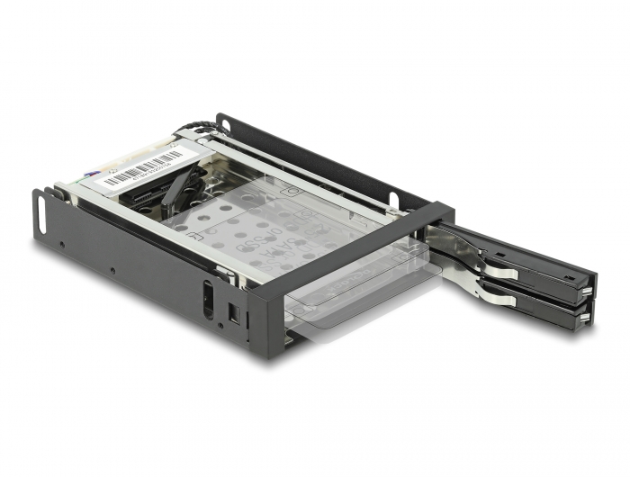 Delock 3.5″ Wechselrahmen für 2 x 2.5″ SATA HDD / SSD #5 