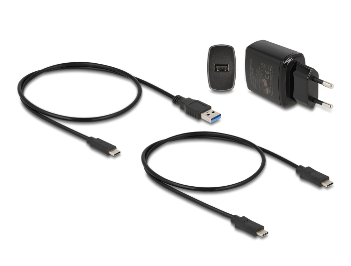 Delock M.2 Dockingstation für 2 x M.2 SATA SSD mit Klon Funktion #6 