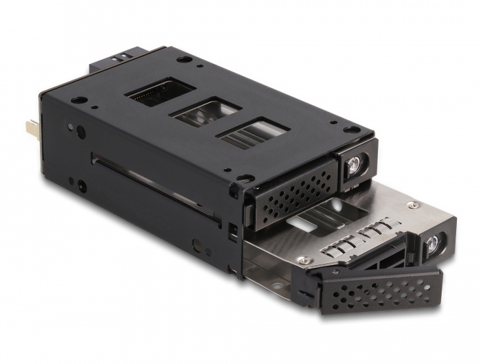 Delock Slim Bay Wechselrahmen für 2 x 2.5″ U.2 NVMe SSD mit 5.25″ Rahmen #6 
