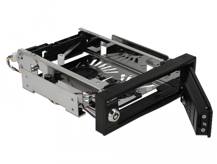 Delock 5.25″ Wechselrahmen für 1 x 3.5″ SATA HDD #4 