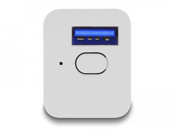 Delock WLAN EASY-USB Schalter Smart Life #3 
