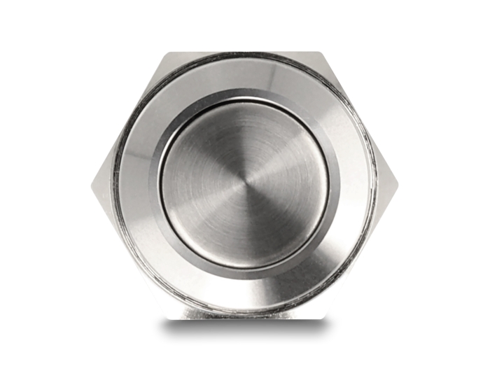 Delock Drucktaster zum Einbau 16 mm 2 x Schraubklemme Taster flach #3 