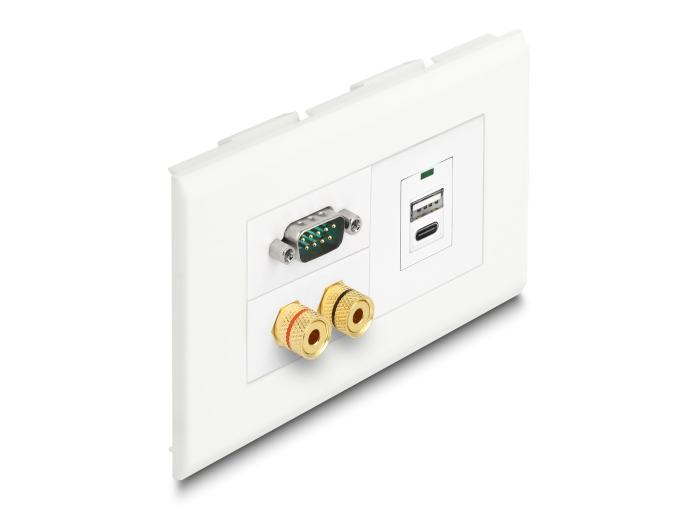 Delock Easy 45 Modulträger für Geräteeinbaukanal 130 x 80 mm #6 