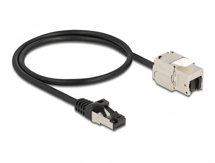 Delock Kabel RJ45 Stecker zu Keystone Modul RJ45 Buchse Cat.6A 50 cm schwarz #2 