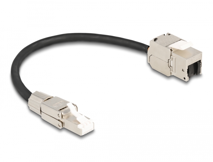 Delock Kabel RJ45 Stecker feldkonfektionierbar zu Keystone Modul RJ45 Buchse Cat.6A 25 cm #2 