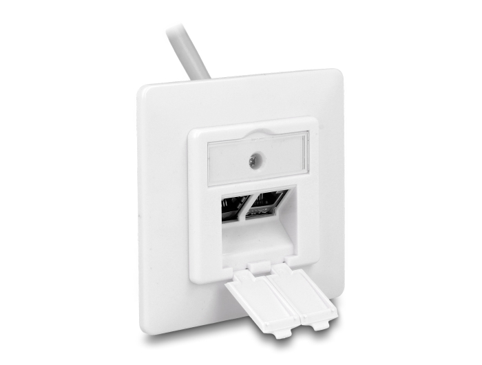Delock Keystone Anschlussdose 2 Port kompakt #7 