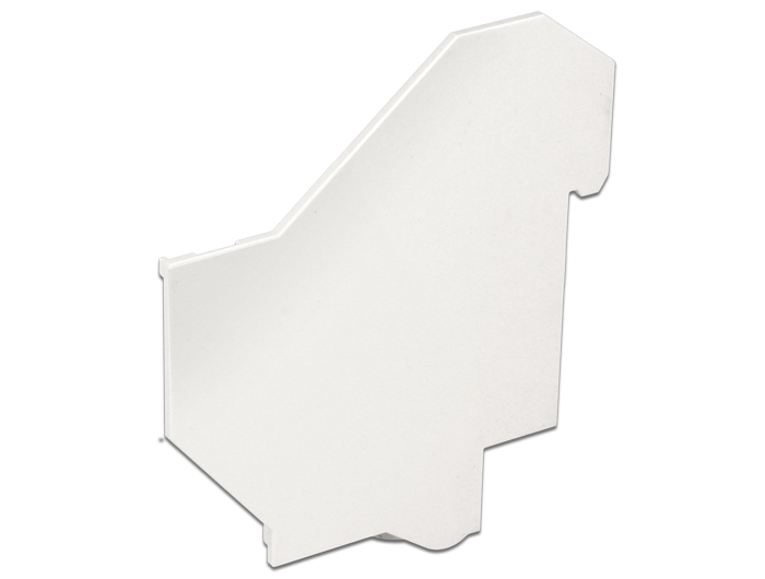 Delock Abdeckung für Keystone Hutschienen Halterung #1 