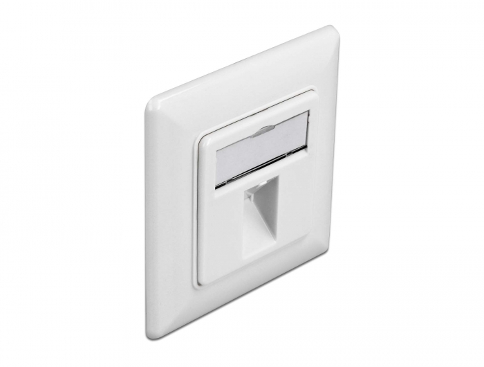 Delock Keystone Anschlussdose 1 Port #1 