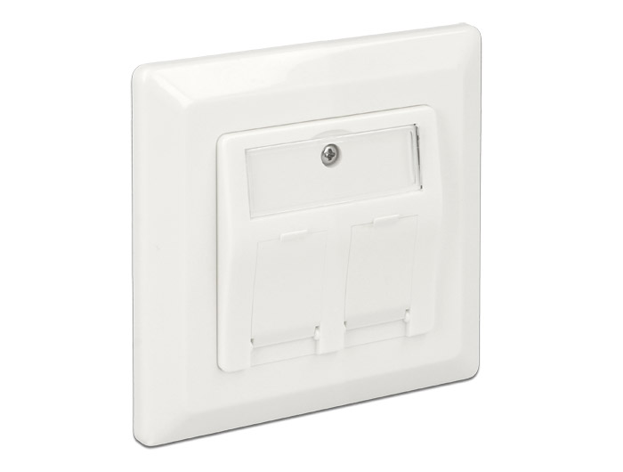 Delock Keystone Anschlussdose 2 Port #12 