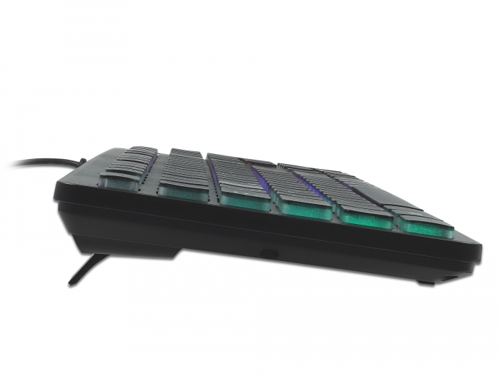 Delock USB Tastatur kabelgebunden 1,5 m schwarz mit RGB Beleuchtung #4 