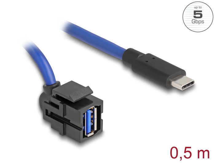 Delock Keystone Modul USB 5 Gbps A Buchse zu USB Type-C™ Stecker mit Kabel #1 